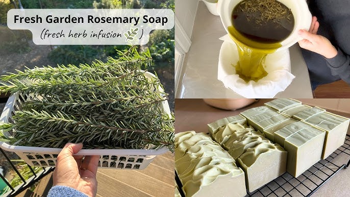 Which Essential Oils Work Well In Soap Making - The Soap Coach