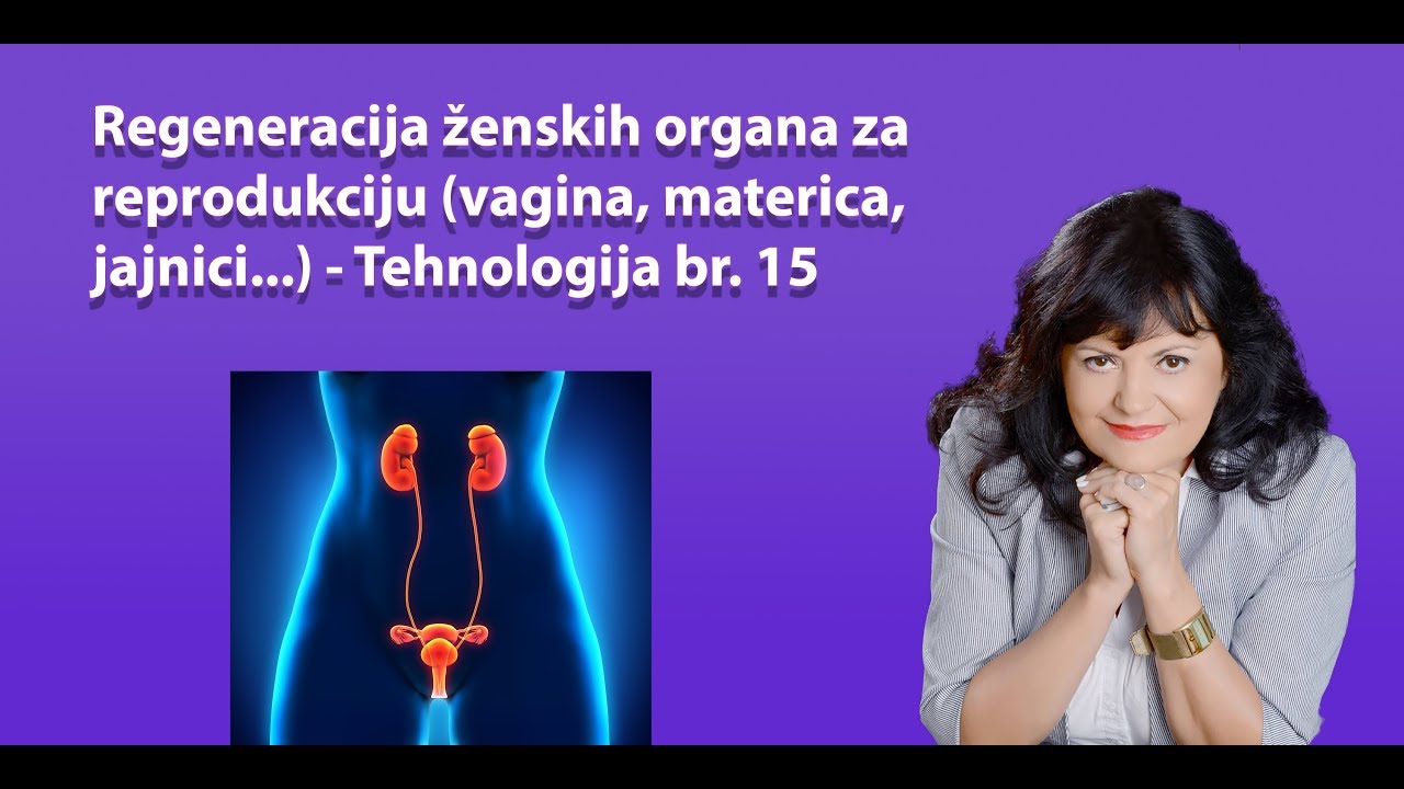 regeneracija-enskih-organa-za-reprodukciju-vagina-materica-jajnici