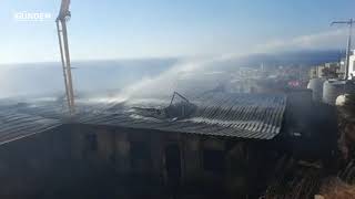 Bodrum Gündoğanda Yangın