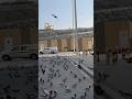 Makkah city pigeon /kabootar chowk Makkah #mecca #city #saudiarabia #pigeon