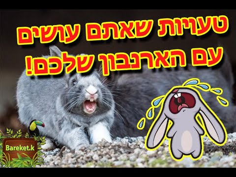 וִידֵאוֹ: האם עפיפונים אוכלים ציפורים אחרות?