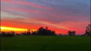 tu hú ơi đừng kêu nữa buồn lắm #mientay #dongque #ngườimiềntây #hoànghôn