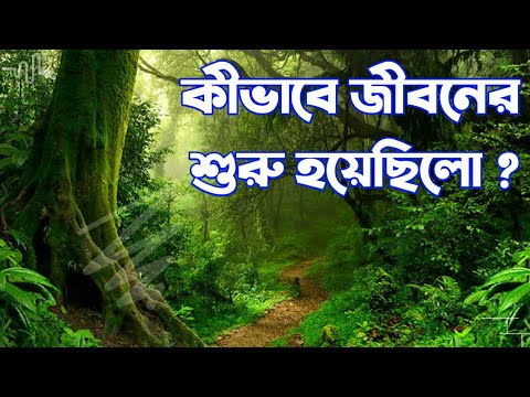 How Life Began On Earth? || জীবনের শুরু কিভাবে হয়েছিল ? || Dinosaur || fact & fiction বাংলা || PJPAF