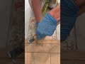 How to replace a chipped tile #construction #tile #work #cut #chipped