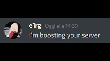 Literally every Discord server owner when they get their first server boost