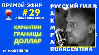 Новости Из Аргентины С Бокалом Вина. 29-Я Неделя Карантина (05-11.10). Прямой Эфир Ruargentina.