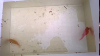 WP 20160419 002