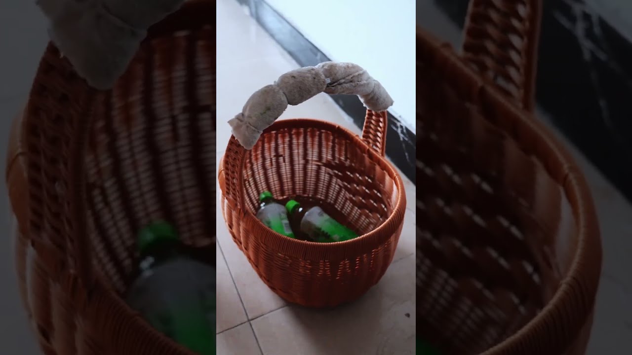 Ce Chien Sauve Son Ma Tre Du Danger Pourtoi