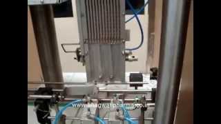 Tablet , capsule counting and filling line , tablet / Capsule bulk bottle packing line