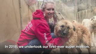 SPCA International | 20th Anniversary