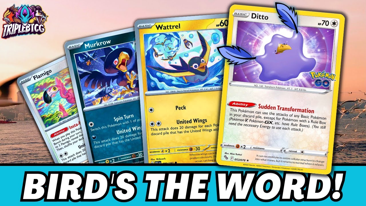 United Wings Break Opponents, Not the Bank YouTube