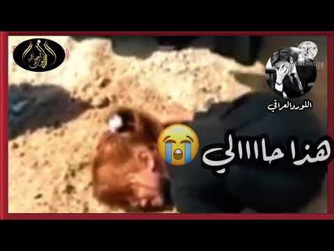 مسافرين العمر كله حدر التراب الرادود محمد الفليحي لاتنسوا الاشتراك