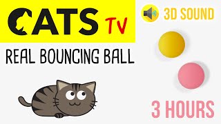 CATS TV - Real Bouncing Balls HD - 3 HOURS (Video game for cats) screenshot 4