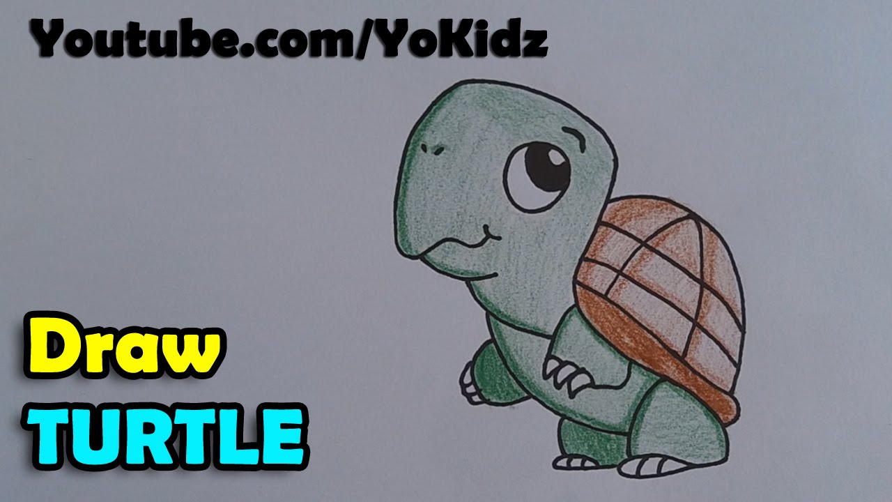 How to draw a turtle cartoon - YouTube
