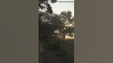 تلاوة رائعة من سورة النمل للقارئ ياسر العجلان💫 #اكسبلور #راحة_نفسية #المصحف #ارح_سمعك #لايك