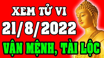 Tử vi 12 con giáp ngày 21/8/2022 - Xem Vận Mệnh, Tài Lộc, Công Việc, Sự Nghiệp, Tình Duyên, Sức Khỏe