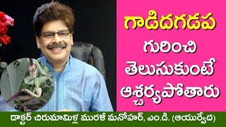 గడదగడప మకక ఉపయగల తలసకట ఆశచరయపతర. ఇద నలసర సమసయలన, చరమవయధలన తగగసతద.