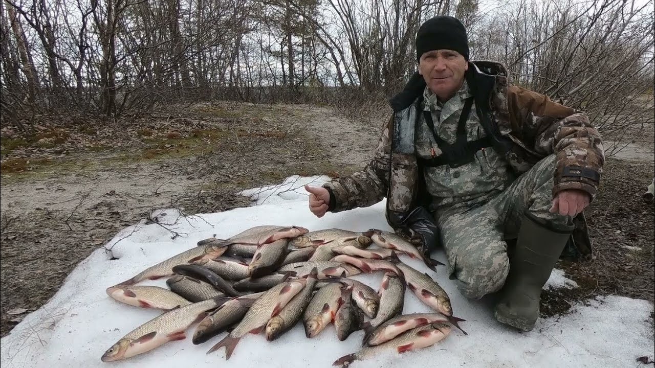 Язь колодкой рецепт