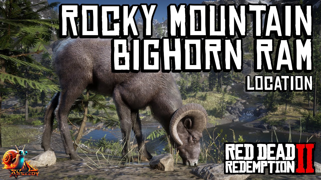 Ram Hide Rdr2 Rocky Mountain Bighorn Ram Location - Red Dead Redemption 2 - YouTube