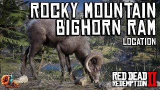 Rocky Mountain Bighorn Ram Location - Red Dead Redemption 2