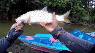 Mancing ikan Hampala dan udang galah