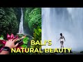 Visiting the Most Beautiful Waterfalls in Bali!