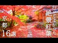 【京都紅葉の歩き方】おすすめ16選と絶景に出会える紅葉の攻略法解説付き /見頃 /混雑 / /穴場 /見どころ /旅行 /観光 / The Autumn Leaves spots of Kyoto