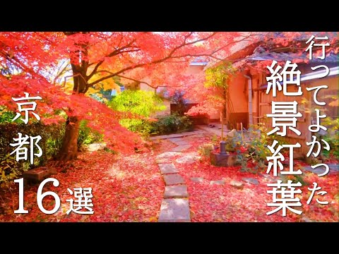 【京都紅葉の歩き方】おすすめ16選と絶景に出会える紅葉の攻略法解説付き /見頃 /混雑 / /穴場 /見どころ /旅行  /観光 / The Autumn Leaves spots of Kyoto