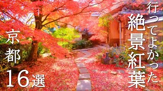 【京都紅葉の歩き方】おすすめ16選と絶景に出会える紅葉の攻略法解説付き /見頃 /混雑 / /穴場 /見どころ /旅行  /観光 / The Autumn Leaves spots of Kyoto