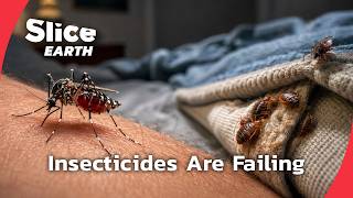 Why Bedbugs, Ticks, and Mosquitoes Are Spreading Fast | SLICE EARTH | FULL DOC