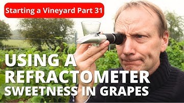 How to Use a Refractometer (and Why You Should)