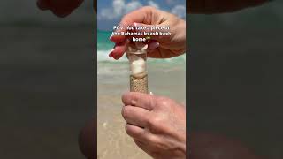 Just a little reminder to collect memories wherever life takes you💙 #shorts #beachhacks #beachtips Net Worth