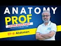 Ep-6: Abdomen | Prof Exam Made Esay | Anatomy | Dr. Tejaswi | DocTutorials MBBS