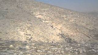 Bedouin piping to his sheep.avi