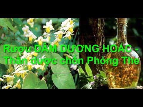 Rượu Dâm Dương Hoắc - Thần Dược chốn phòng the, dùng từ rất lâu trong y học, Nhận dạng cây thuốc