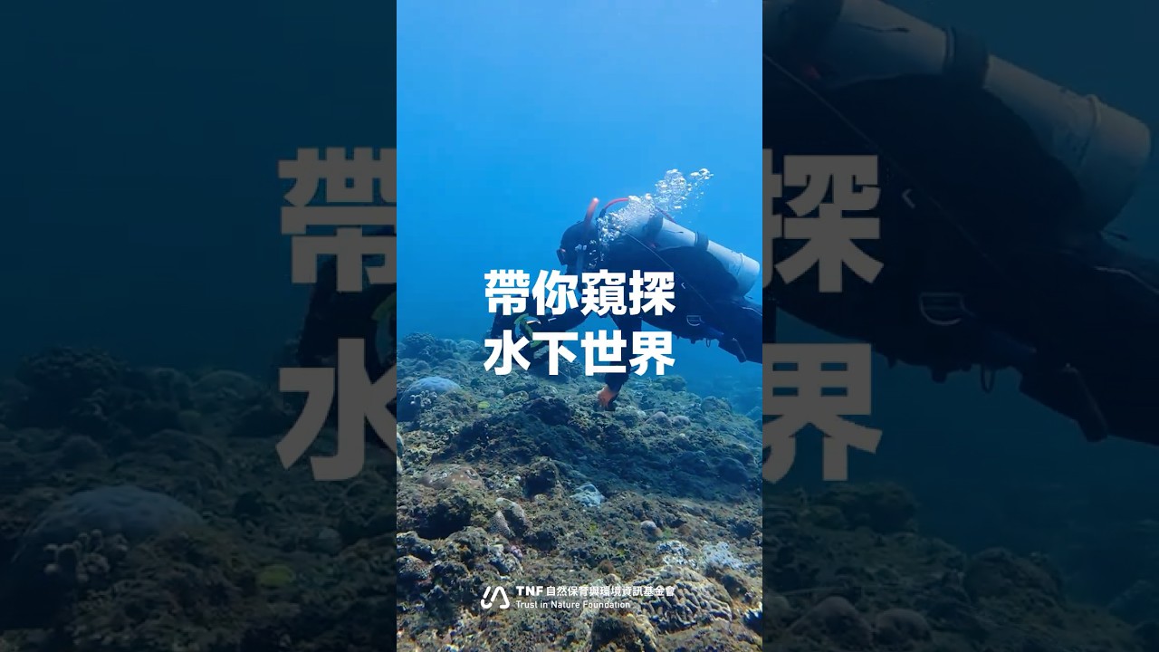 世界海龜日｜跟著自然環資下潛，看見海洋保育第一線！｜自然環資 TNF #珊瑚礁體檢 #小鄭教練 #墾丁 縮圖