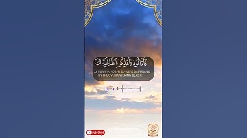أروع تلاوات القرآن الكريم- الحاقة ما الحاقة- من سورة الحاقة- حاتم المالكي