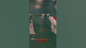 Is the Honey Badger as good as COD GHOST??🤝 #mw2 #cod #honeybadger