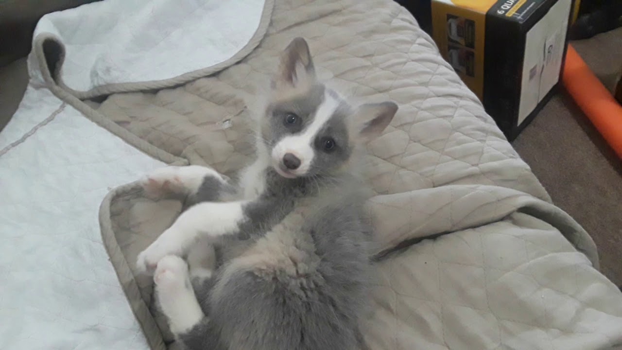 tyrone jose gonzales orama TYR and I in the mornings