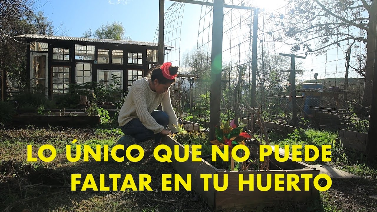 Lo ÚNICO que no puede faltar en tu huerto 💚🐞💃