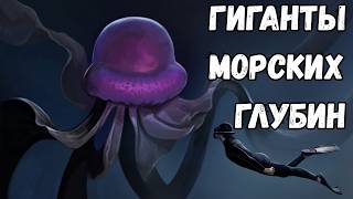 Гиганты, Обитающие в Самых Глубоких Частях Наших Океанов