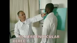 Cavum Perfil de Rinofaringe