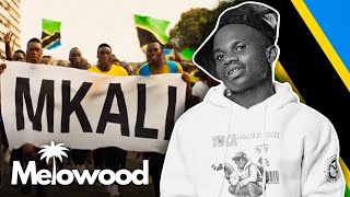 Magolide - Mkali ( Audio Visualizer)￼