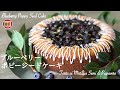 ブルーベリーポピーシードケーキの作り方  Blueberry Poppy Seed Cake | HIROMA