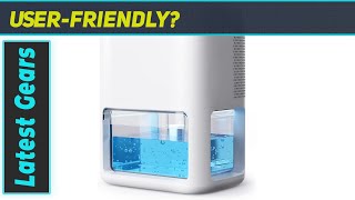 BREEZOME Dehumidifier: The Ultimate Moisture Solution