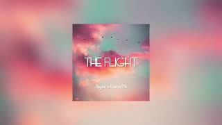 The flight - Skyper x Konrad Mill (remake)