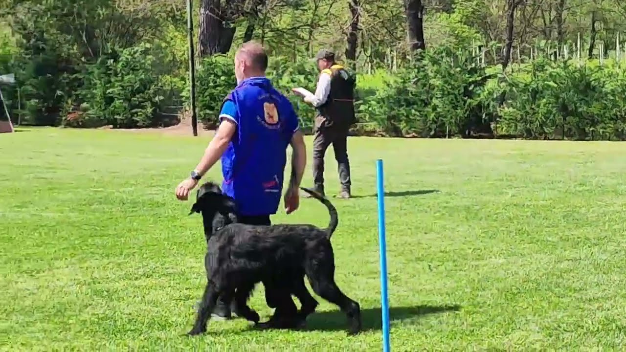 Hombre Con Todos Los Santos, 14 Aprile 2024, IGP1 Sezione B