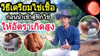 วิธีเตรียมไข่เชื้อ ก่อนนำเข้าตู้ฟักไข่ (ให้อัตราเกิดสูง) : SMILE FARM