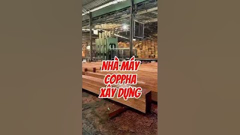 Nhà máy ván coppha xây dựng | Cốp pha đỏ 4m #7c #coppha #constructionchannel