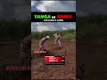 Yanga Vs Simba With BaMtu MaMtu Simba Yanga Iamlee316 Shorts Shortsvideo